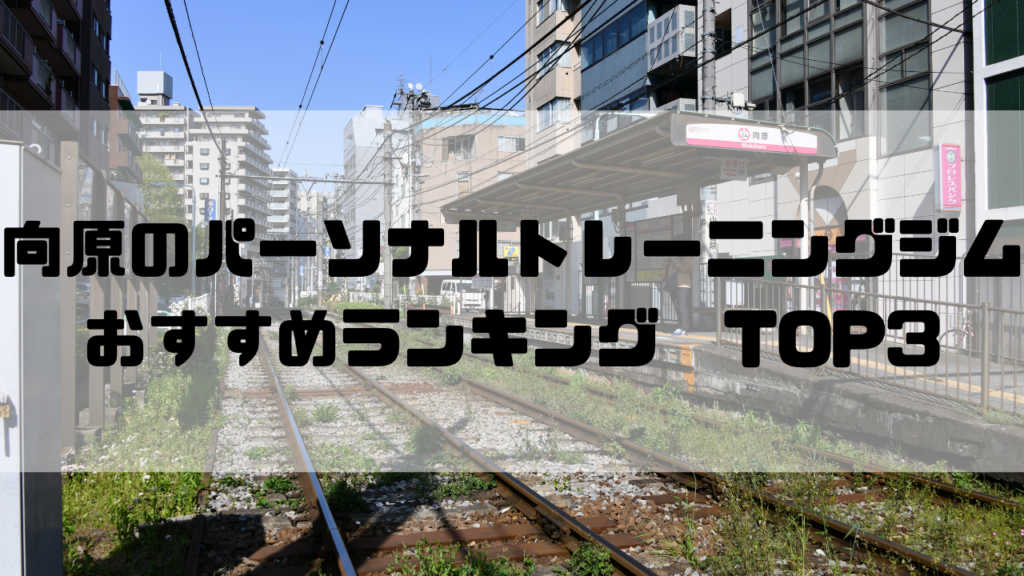 向原　パーソナルトレーニングジム　おすすめランキング　東京都豊島区